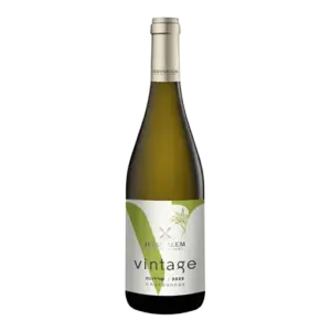 Chardonnay